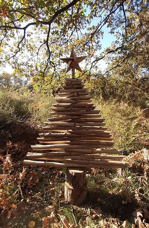 3 foot Eco Christmas Tree outside at Mousehold Heath.
